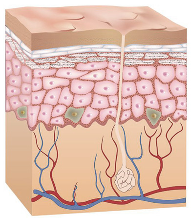 Mesoterapia facial con productos de última generación